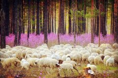 ͼ˵ġ鷢ǩۻ֪ͨ