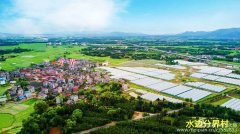 北郊缘.水边情.五十年.喜相聚