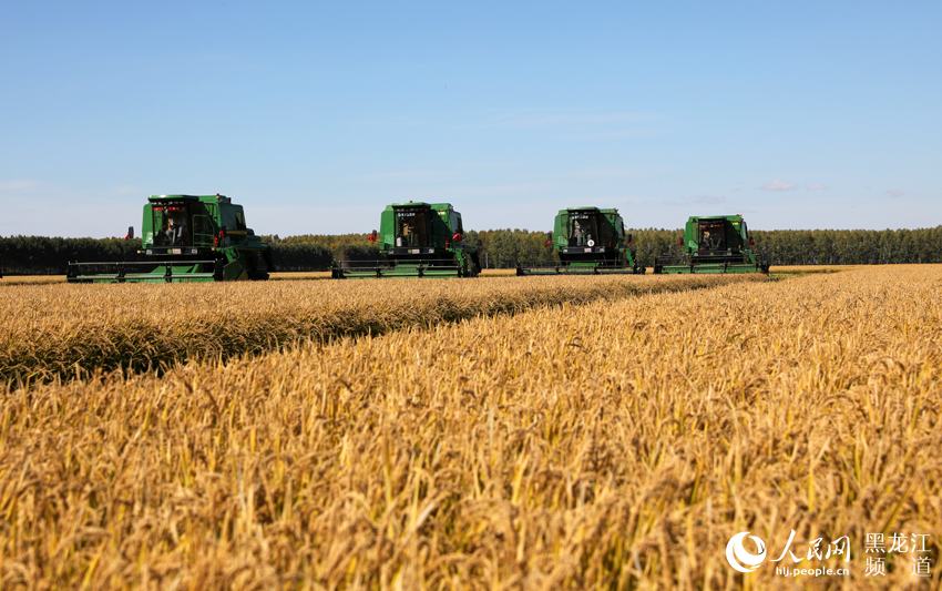 ͼ˵ġ鷢ǩۻ֪ͨŻݰ취