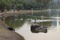 一年一清明,一岁一追思