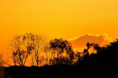 东归列车的窗口 ——致贺敬之老师