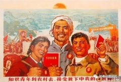如何认识知青上山下乡历史的本质特征
