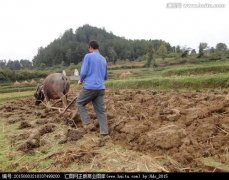 中国会不会产生粮荒?