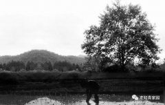 插队十年随想录(2)