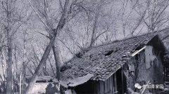 狂人夜话——知青病退记(2)