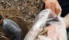 Ӣ֮Ůʧ30󣬷ݾڳ˹