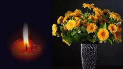 知青配偶【续】(3)