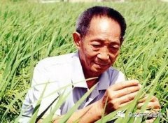 袁隆平:我要那么多钱做什么