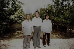 阿拉的“香梨梦”