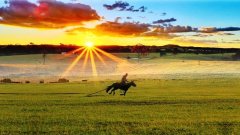 北京知青:草原二十三年(二)(1)