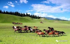 北京知青:草原二十三年(二)(2)