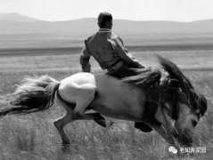 北京知青:草原二十三年(二)(3)