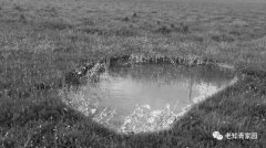 北京知青:草原二十三年(二)(6)