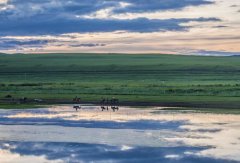 在龙镇农场文艺宣传队的那些事