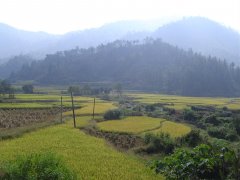 云南勐远女知青萧洛诗选《五章》