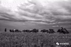 北京知青:草原二十三年(二)(8)