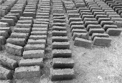 北京知青:草原二十三年(二)(12)