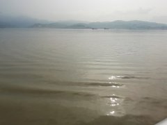 上海知青诗剧社会员薛鲁光诗选(四首)