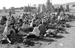 北京知青:草原二十三年(三)(7)