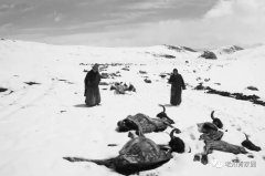 北京知青:草原二十三年(三)(8)