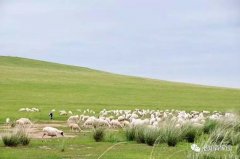 北京知青:草原二十三年(三)(11)