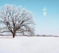 今日小雪:天地初寒,愿岁月安暖!