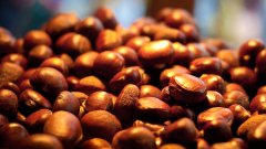 【海上记忆】每当听到那一声呼唤:糖炒栗子吃伐