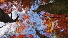 品区-年度词 | 闵行这幅画卷