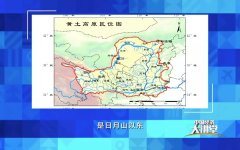 ΪʲôԭϵˮɽԽԽࣿ