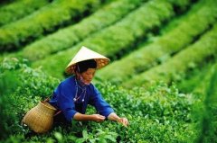 侠客岛:9个脱贫传奇,说出了中国为什么能!