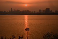 苏鸿杰作品选辑(诗三首)