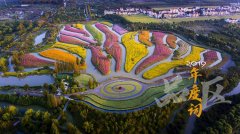 品区-年度词 | 从老农民变为新网红,金山“吸睛”也“吸金”