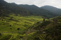 苏鸿杰作品选辑——给病中的知青朋友