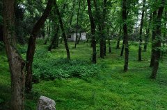 何侠斋作品选辑(4)