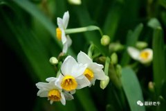 立春 ,立德,立命,立行,立下一年好光景