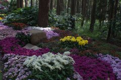 战“疫”时刻,我们没有缺席(下)