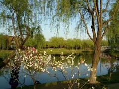 怀疑中国病亡率纯属政治化的臆测(钟声)