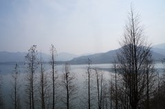 汨罗江诗魂与石魂