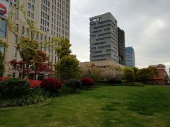 社评:中国历史决不会宽恕推动分裂的人