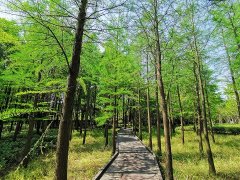 Ѫ--ӵľ쵼ƶΪζҡã