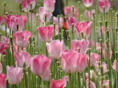 老少说家风(上)