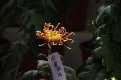 ݵǼ˸иĹ£Ǹѧ  һһŮǹ鷳