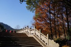 2021年古体诗四首