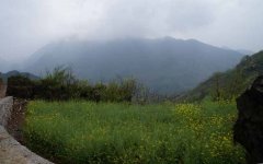 七律.步韵和知青朋友岑路诗