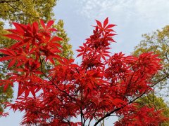 百年奋斗启新程