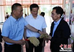 袁隆平儿子接棒!