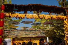 中国人的饭碗要牢牢端在自己手上