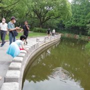 延迟退休又改了