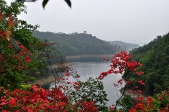 ����Ҫ�����������ϣ�