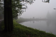 ����Ҫ�����������£�